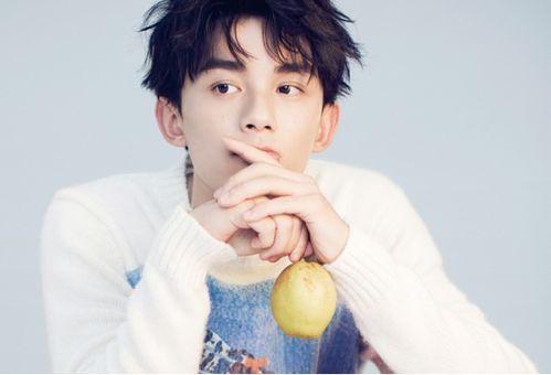 娱乐圈吃瓜吴磊是谁呀,揭秘吴磊的星光之路